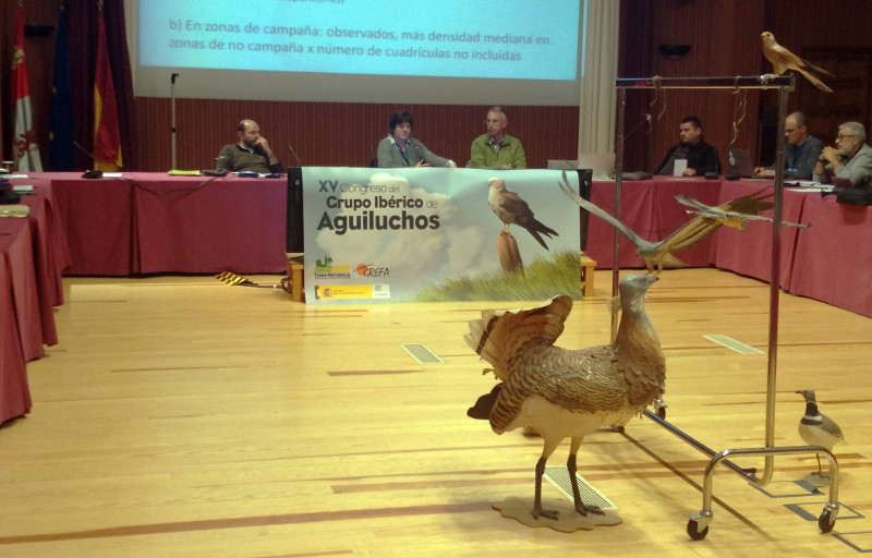 Réplicas de aves de los medios agrarios adornaban la sala donde se celebró el XV Congreso del GIA.