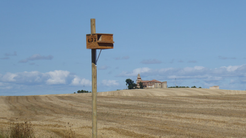 Caja nido para lechuza en Pozoantiguo (Zamora). Fomentar el control biológico para combatir a las plagas de topillo es una alternativa al uso de tóxicos (rodenticidas).
