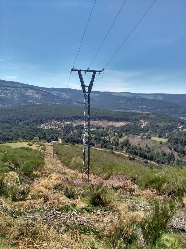 Apoyo eléctrico de la Sierra de la Demanda en el que fue encontrada electrocutada "Águila" a mediados del pasado mayo.
