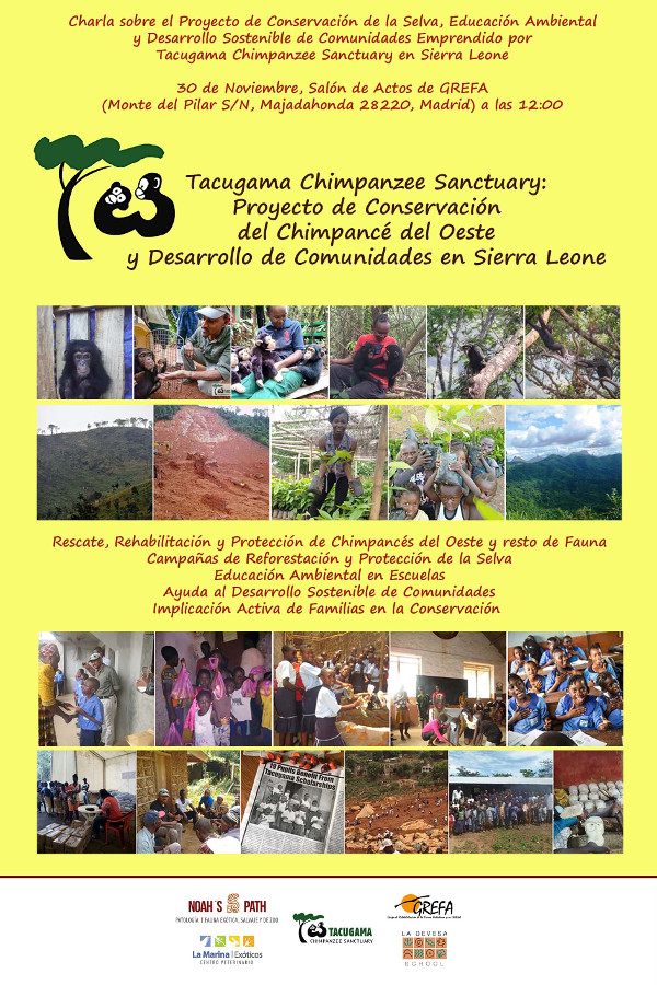 GREFA acoge la presentación del santuario de chimpancés de Tacugama, en Sierra Leona