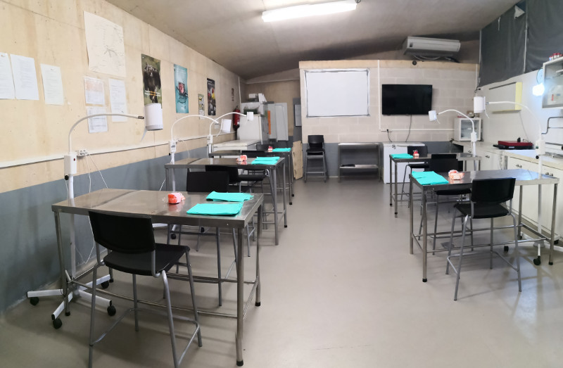 En esta sala del hospital de fauan de GREFA se realizan las prácticas de primeros auxilios como la que se programó en el reciente taller.