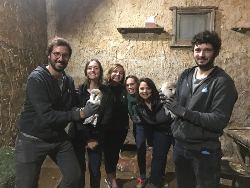 Empleados de BlaBlaCar, con dos de las lechuzas de nuestro centro, tras una jornada de trabajo de llimpieza en el lechuzar de GREFA.