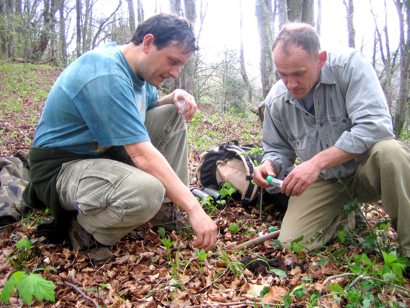 Monchu y Alfonso, miembros de FAPAS, recogen muestras de un excremento de oso.