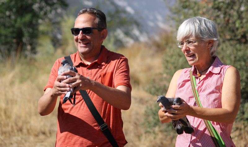 Unos padrinos liberan dos palomas torcaces.