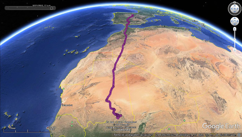 Migración del alimoche "Montejo" en 2019 de España a África.