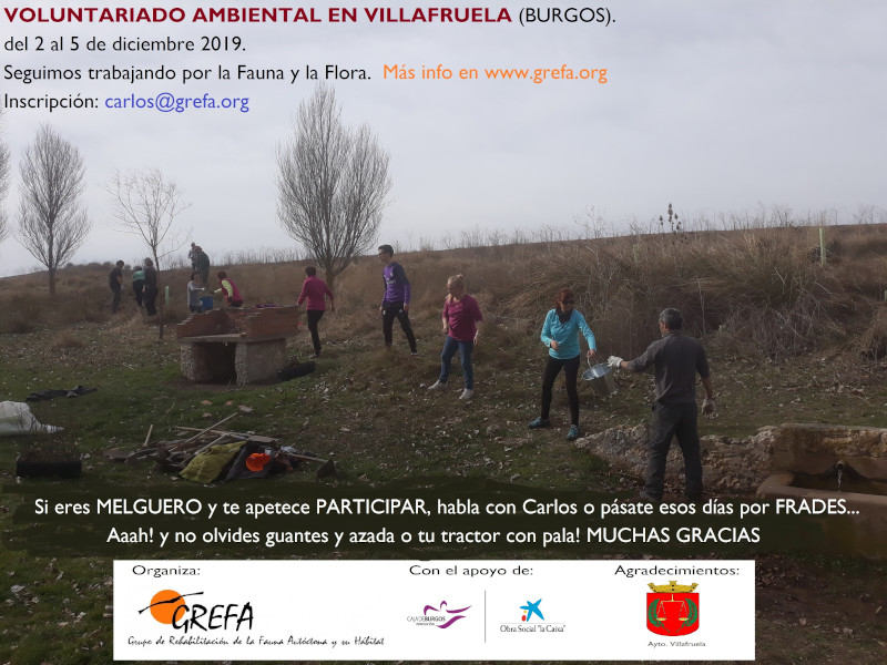 Varios voluntarios ayudan a GREFA a construir una charca para anfibios en Maderuelo (Segovia).