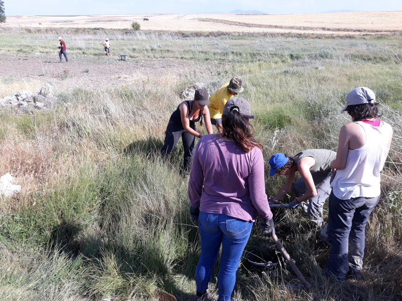 Varios voluntarios ayudan a GREFA a construir una charca para anfibios en Maderuelo (Segovia).