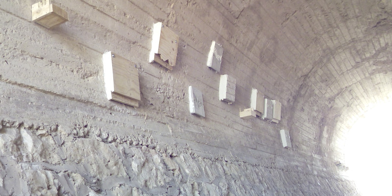 Hemos colocado cajas para murciélagos en este túnel del Nordeste Segoviano.