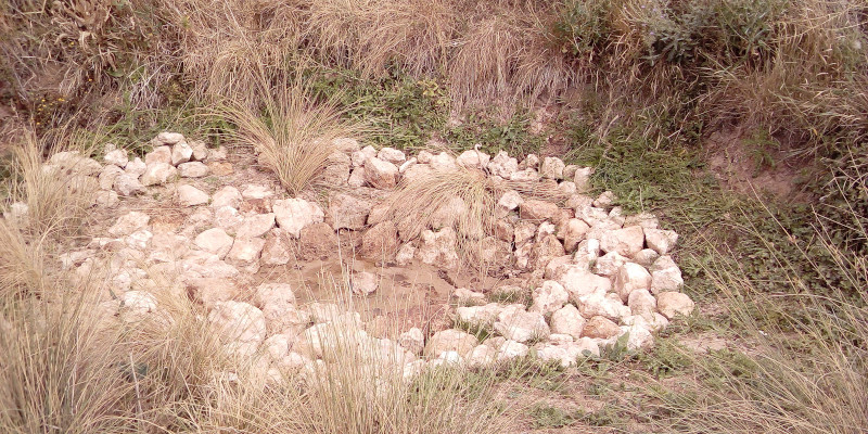 biodiversidad segovia001Pequeña charca adecuada en el Nordeste Segoviano para favorecer a la biodiversidad.