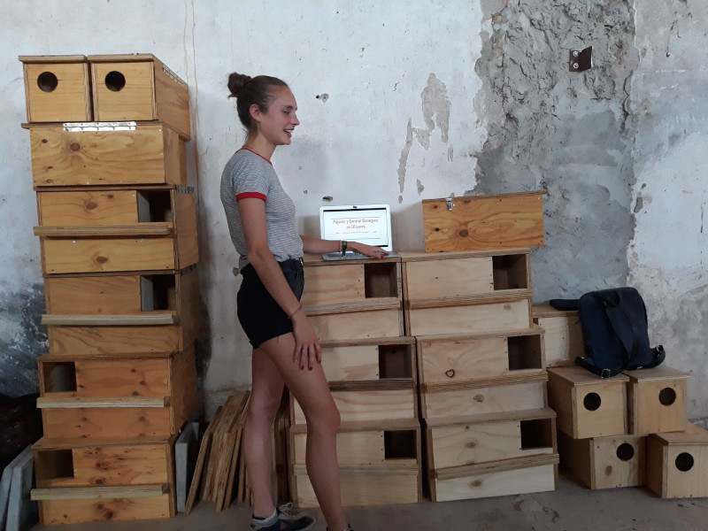 Louise Duquesne, de Biomimicry Granada, utiliza como mesa improvisada para apoyar su portátil unas cajas nido almacenadas y destinadas a nuestro proyecto en el Nordeste Segoviano.