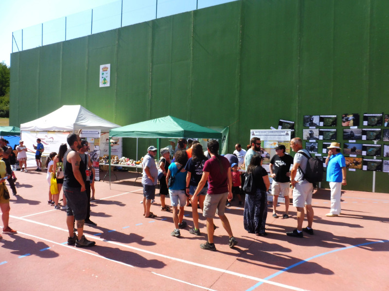 Visitantes en la zona de casetas del frontón de Huerta de Arriba, habilitada con motivo de nuestro IV Día Internacional del Buitre Negro.