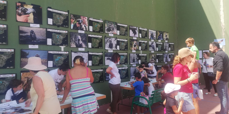 Las fotos de los buitres negros liberados en la Sierra de la Demanda hasta la fecha se exhibieron durante el IV Día Internacional del Buitre Negro de Huerta de Arriba.