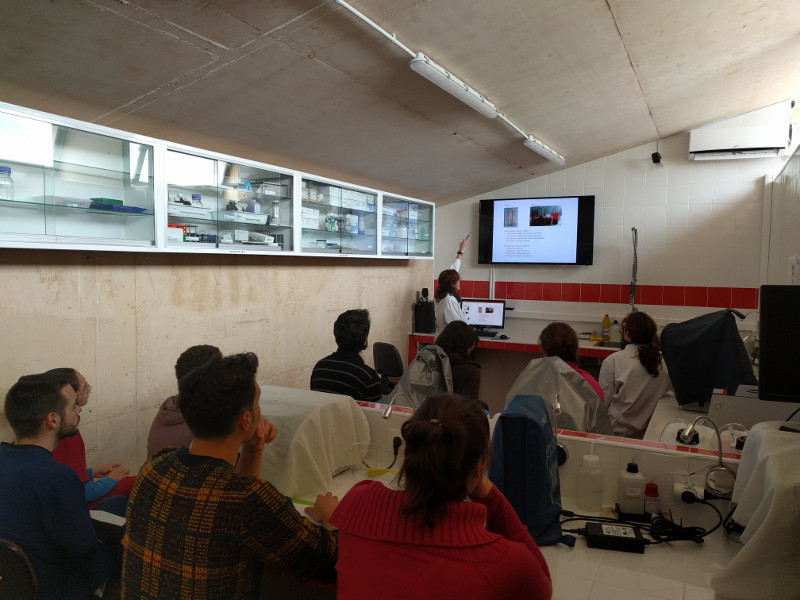 Varios voluntarios asisten a un seminario de hematología en el laboratorio del hospital de fauna de GREFA.