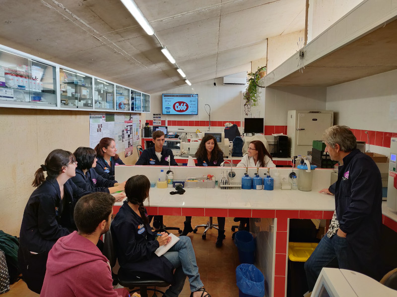 Reunión de trabajo en el laboratorio del hospital de fauna de GREFA.