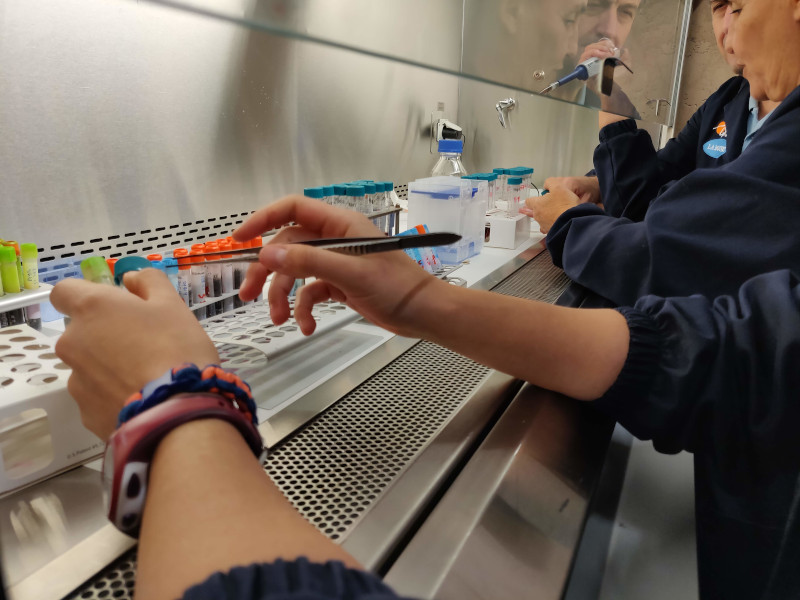 Un momento del día a día en el laboratorio del hospital de fauna de GREFA.