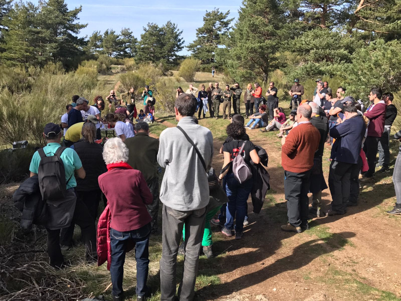 Alrededor de 70 personas asistieron al traslado e introducción de 13 buitres negros en la jaula de aclimatación de Huerta de Arriba (Burgos) el pasado 22 de febrero.