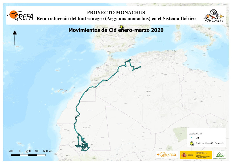 Ya está disponible el informe del primer trimestre de 2020 sobre los avances del Proyecto Monachus en la Sierra de la Demanda