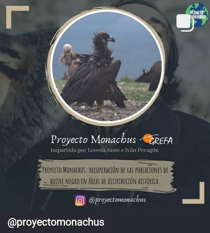 ¿Te apuntas a una charla en Instagram del Proyecto Monachus?  