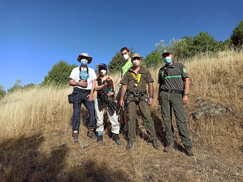 Parte del equipo de trabajo que participó en el marcaje de los tres buitres negros, con uno de ellos en brazos de la veterinaria.