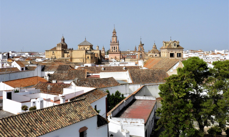 Vista de las inmediaciones del barrio de los “kikilis”, en Carmona, desde la torre en la que instalaremos las cajas nido.