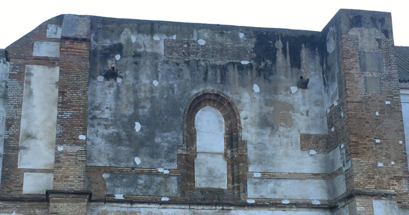 Iglesia de Santa Ana, en Carmona (Sevilla). Los mechinales (huecos) donde crían los cernícalos primilla aparecen sellados. Foto: Ana Maqueda.