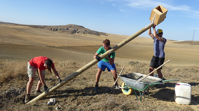 Voluntarios de GREFA instalan una caja nido para cernícalos vulgares en Castilla y León.