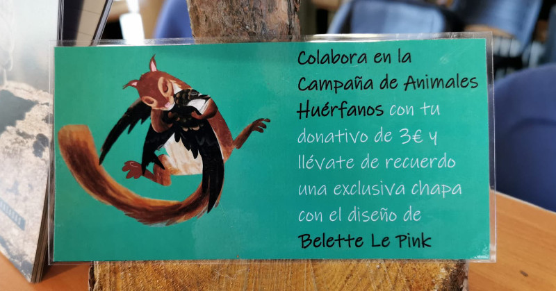 Imagen promocional de nuestra nueva campaña de recaudación de fondos para animales "huérfanos".