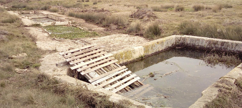 Rampa colocada en un pilón de un antiguo lavadero para permitir la entrada y salida de anfibios.