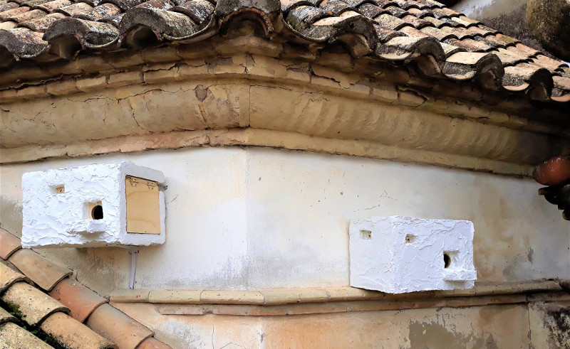 Cajas nido de cernícalo primilla instaladas en el tejado de la iglesia de Montilla (Córdoba) donde se ha actuado.