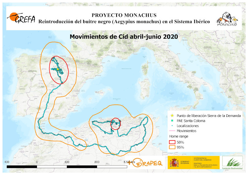 informe monachos abril junio 2020. Mivimientos de CID