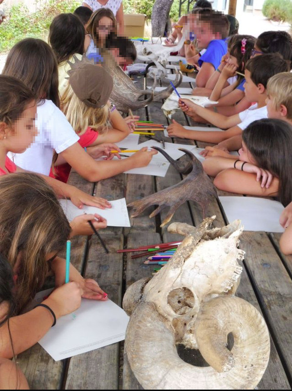 Niños participantes en un taller sobre cuernos de animales en nuestros campamentos de verano.