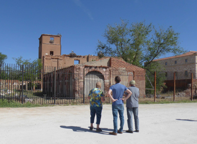 Cada vez son más personas que valoran esa relación entre la conservación del patrimonio natural urbano y el histórico y monumental que tanto se da en Alcalá de Henares.