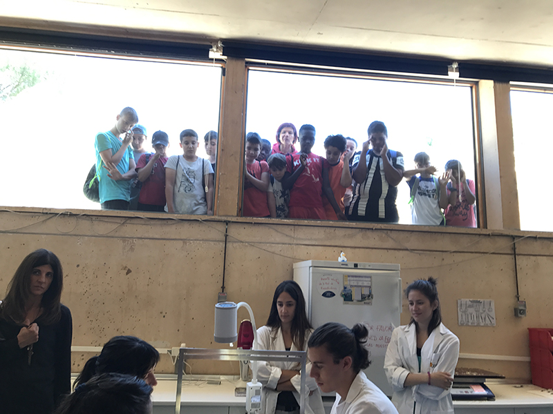 Un grupo de alumnos observa a través de una cristalera el trabajo del equipo veterinario en la clínica del Hospital de Fauna Salvaje de GREFA.