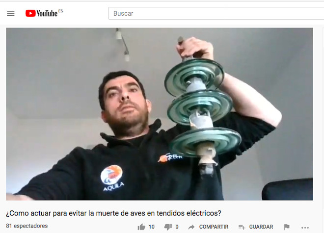 Juan José Iglesias muestra un aislador de vidrio de un tendido a los asistentes a la charla on-line.