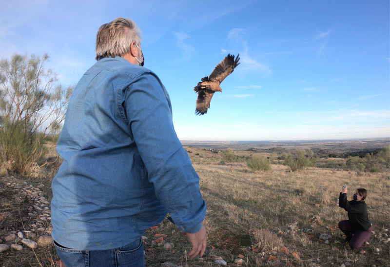 Momento de la liberación del águila imperial "Atila" por su padrino Juan.