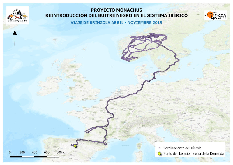 MAPA: BRINZOLA ABRIL-NOVIEMBRE 2019