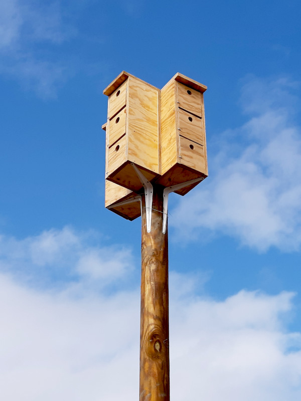 Detalle que permite observar cómo van dispuestas las nueve cajas nido para gorriones en cada poste.
