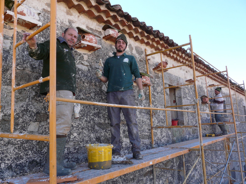 Miembros de GREFA y del Museo Nacional de Ciencias Naturales instalan hace algunos años las tinajas que servirían como nidales para el cernícalo primilla, dos de las cuales han sido ocupadas por la especie en 2020.