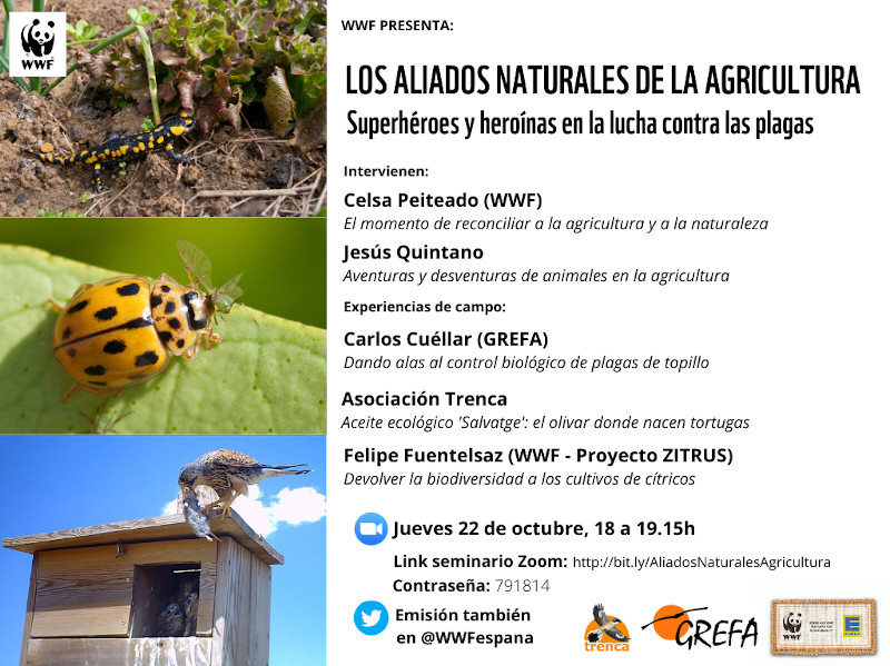 22 OCT: Seminario online sobre fauna aliada de la agricultura