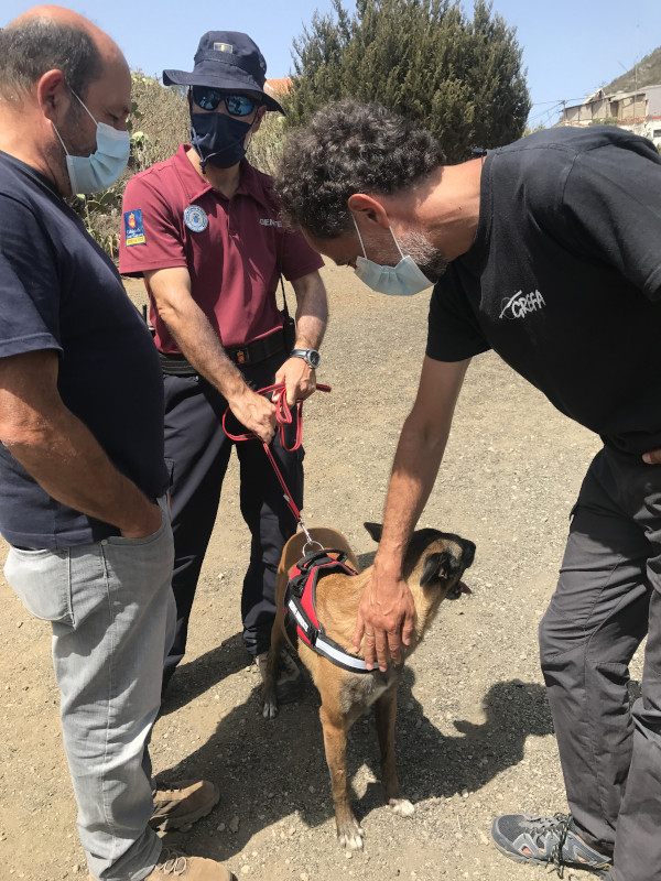 Miembros de GREFA observan a un perro entrenado para localizar cebos envenenados, que es sujetado por un Agente de Medio Ambiente.