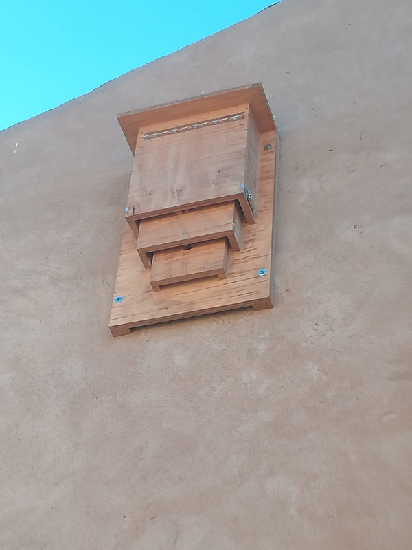 Detalle de murcielaguera instalada en la pared de una cuadra de ganado de Valleruela de Pedraza. Tiene tres compartimentos comunicados internamente entre sí, además de una cuarta cámara que hace el espacio que queda entre el nido y la pared.
