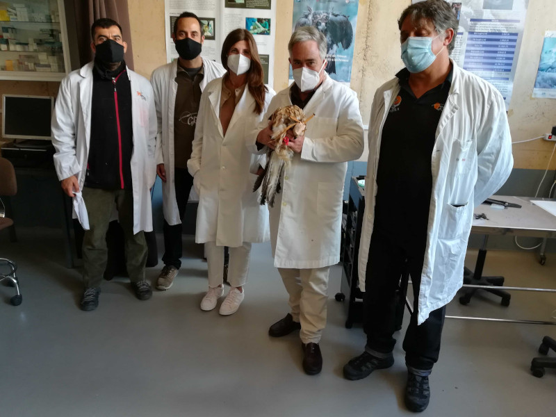 Luis del Olmo y Teresa Regalado, de la Consejería de Medio Ambiente de la Comunidad de Madrid, junto con miembros de GREFA durante la reciente visita a nuestro centro.