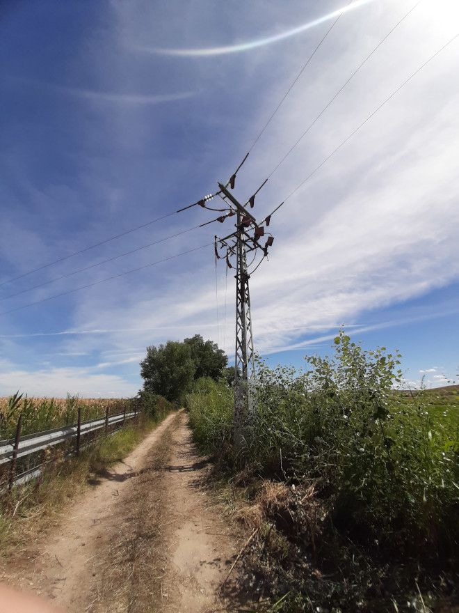 Uno de los apoyos intervenidos en el Parque Regional del Sureste (Madrid).