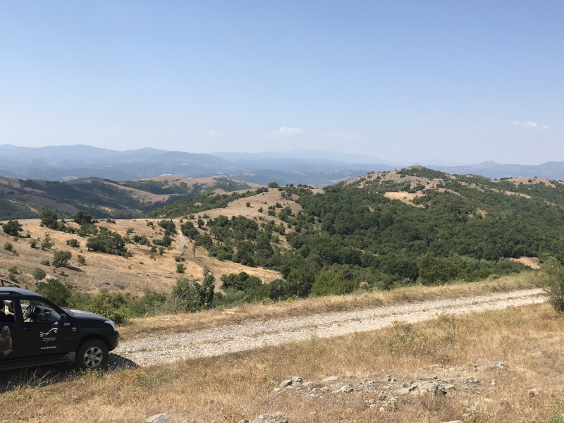 Panorámica de una de las zonas de los Ródopes visitada por el equipo de GREFA, acompañado de los socios búlgaros del proyecto.  