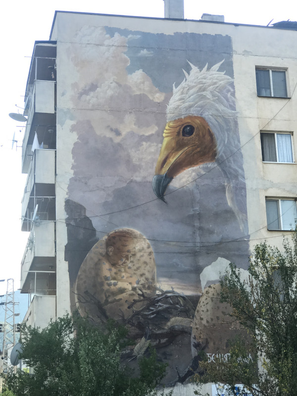 Cartel dedicado al alimoche en la pared de un edificio de una de las localidades del sur de Bulgaria visitadas por GREFA.