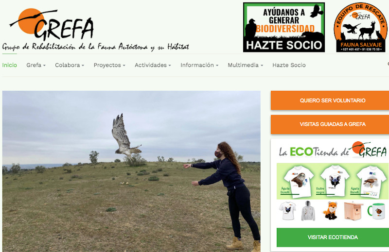 Aspecto de la nueva web de GREFA que hoy lanzamos.