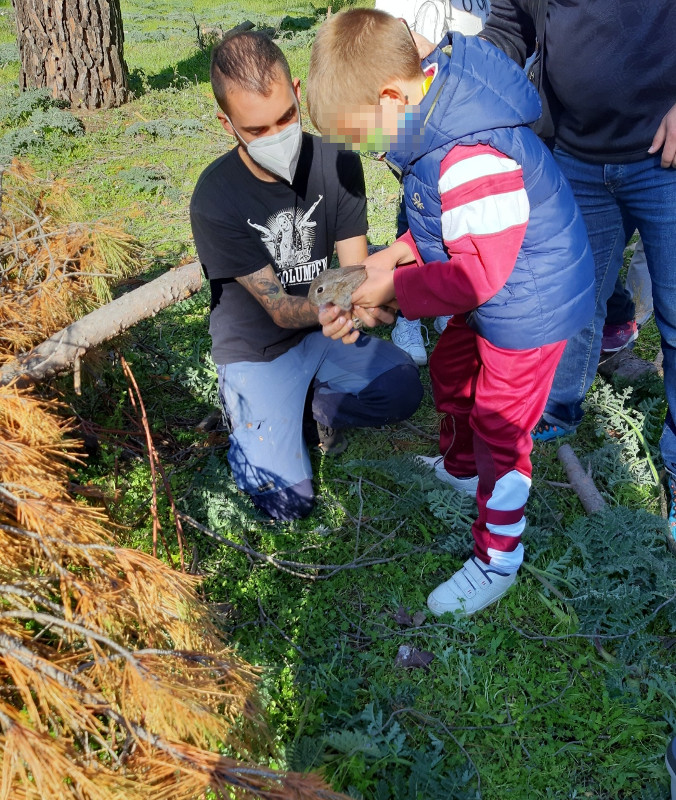 Un niño libera un conejo en su condición de "padrino" de nuestra campaña de Huérfanos