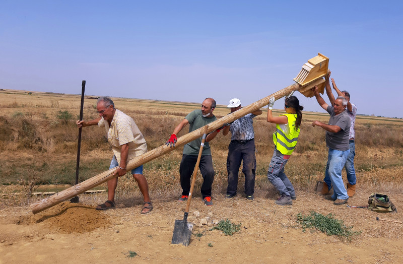 Trabajo en equipo para instalar refugios para murciélagos sobre un poste en Autillo de Campos (Palencia).