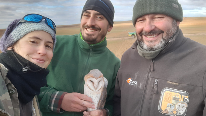 El equipo del proyecto de control biológico de GREFA con la lechuza "Santillana", momentos antes de dejarla en la caja nido donde la hemos reencontrado.