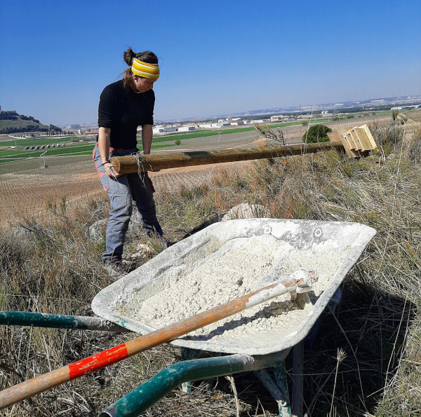 Una voluntaria de GREFA coloca un refugio para murciélagos en las viñas de Pago de Carraovenas, en Peñafiel.